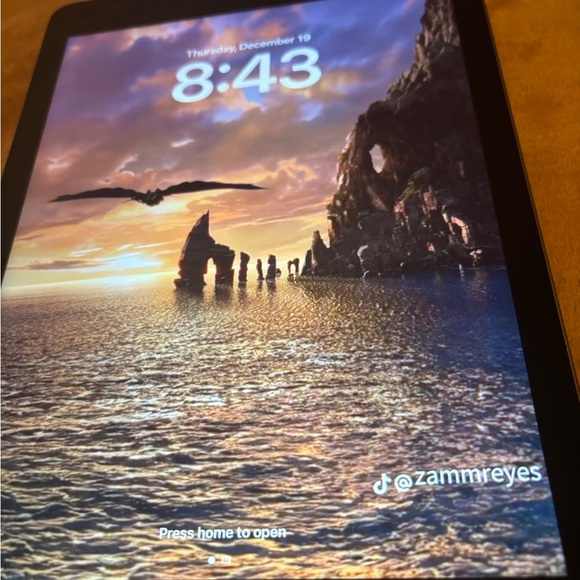 Apple iPad - Picture 3 of 3